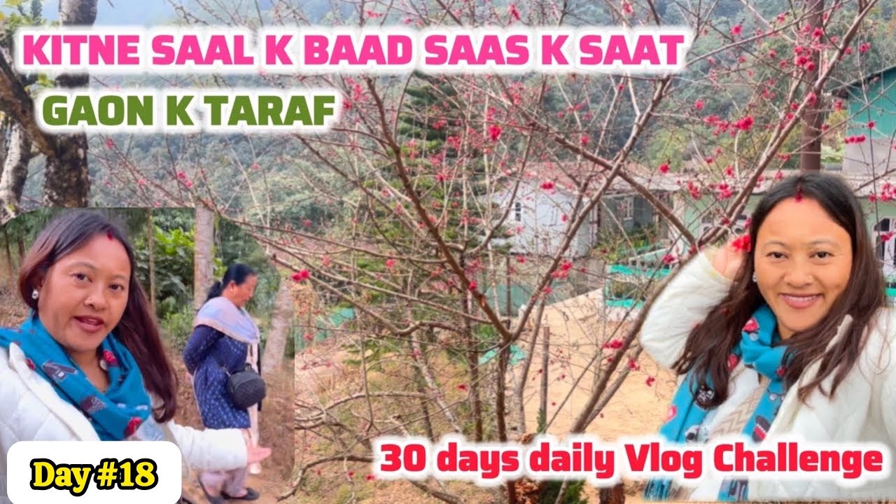 MAI AUR SASU MAA SAAT MAI BHAUT SAAL K BAAD llMERA SASURAL KA GOANII DAILY VLOG CHALLENGE VLOG#19/30