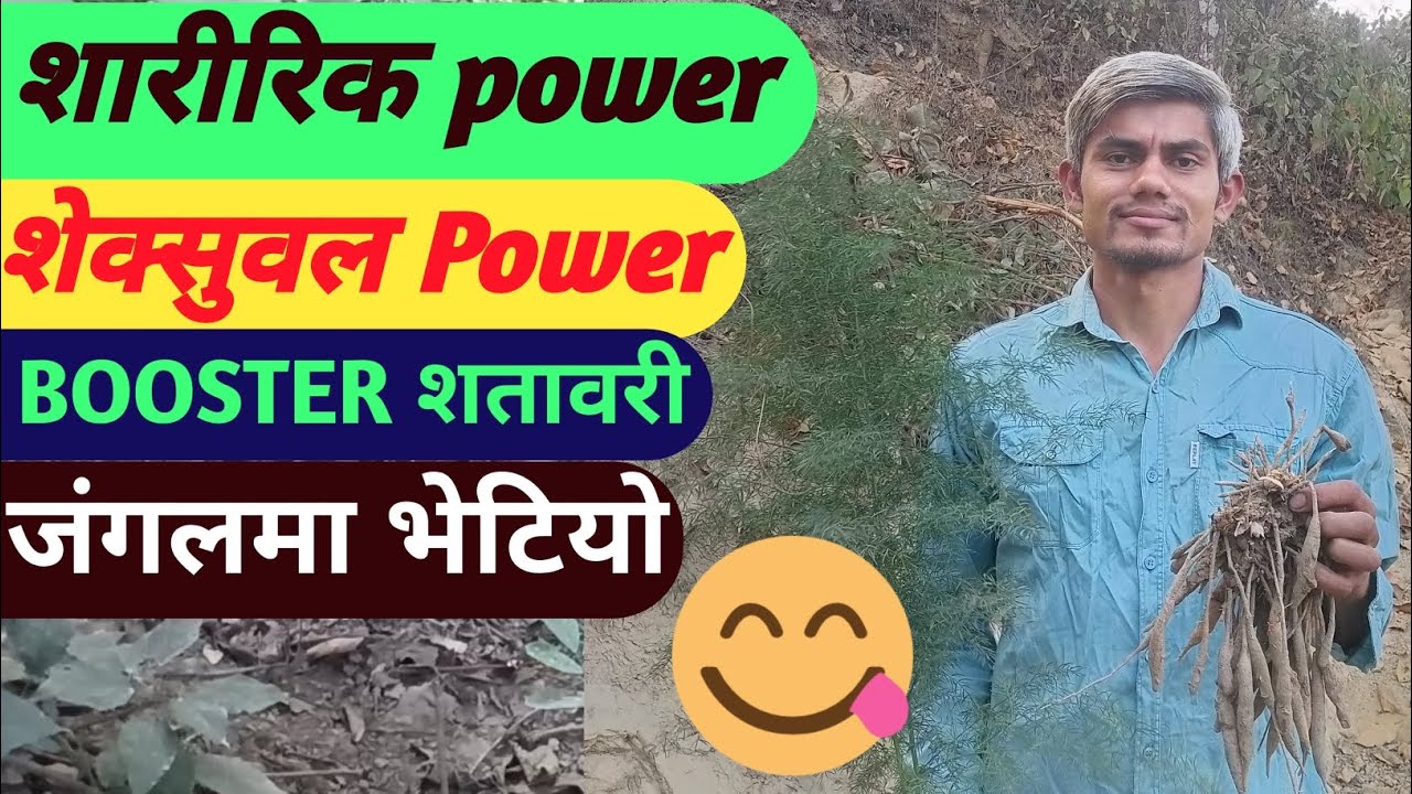 गाई को दूध बढाउने कुरिलो खानु का फाइदा। #Deepak Bhandari Vlogs #satawari