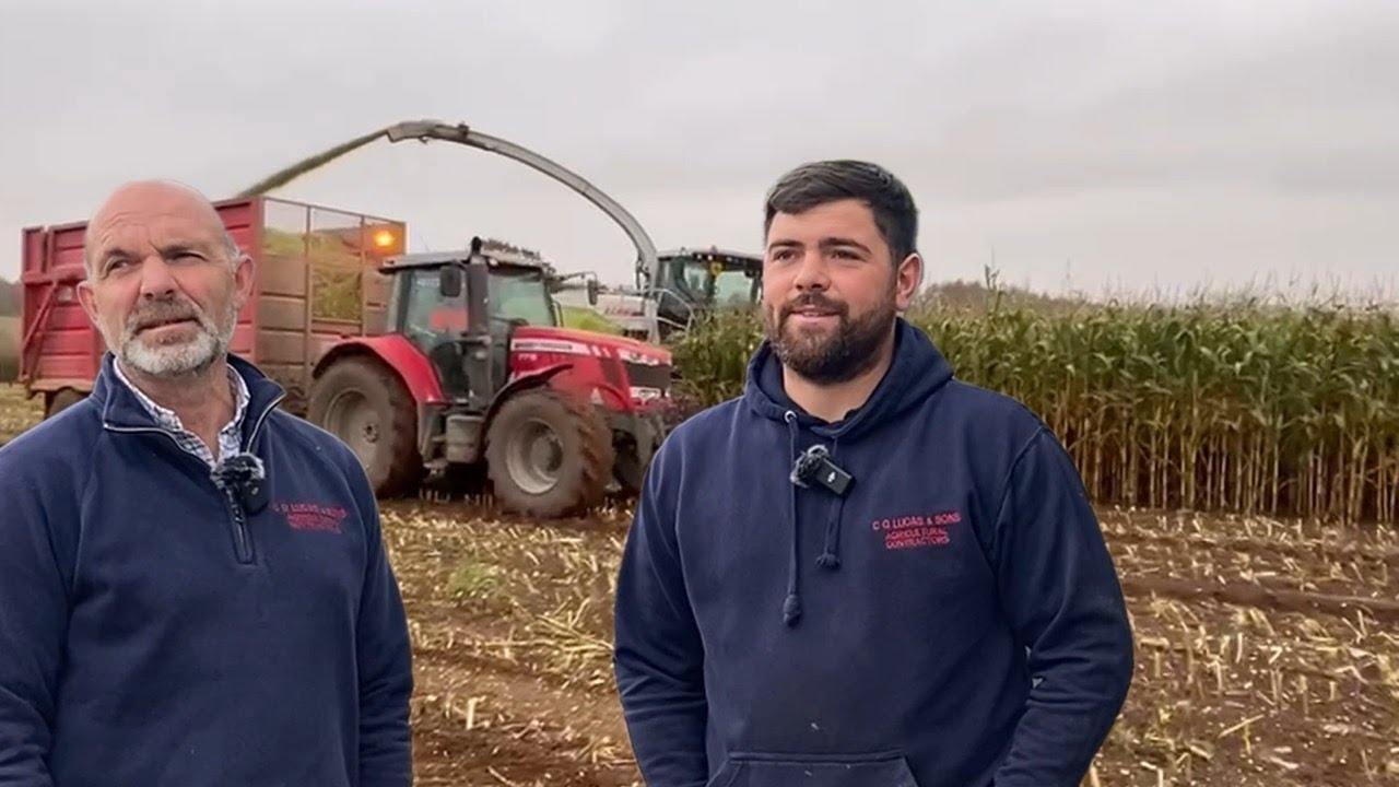 CG Lucas & Sons & Ag-drive