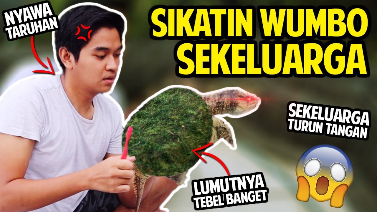 SIKATIN WUMBO SAMPAI SEKELUARGA TURUN TANGAN!! AWALNYA LUMUTAN SAMPAI KINCLONG!