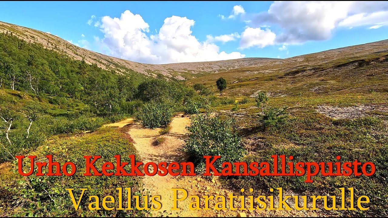 Paratiisikuru. Vaellus Lapin erämaassa. Urho Kekkosen kansallispuisto, Retkeily Lapissa.
