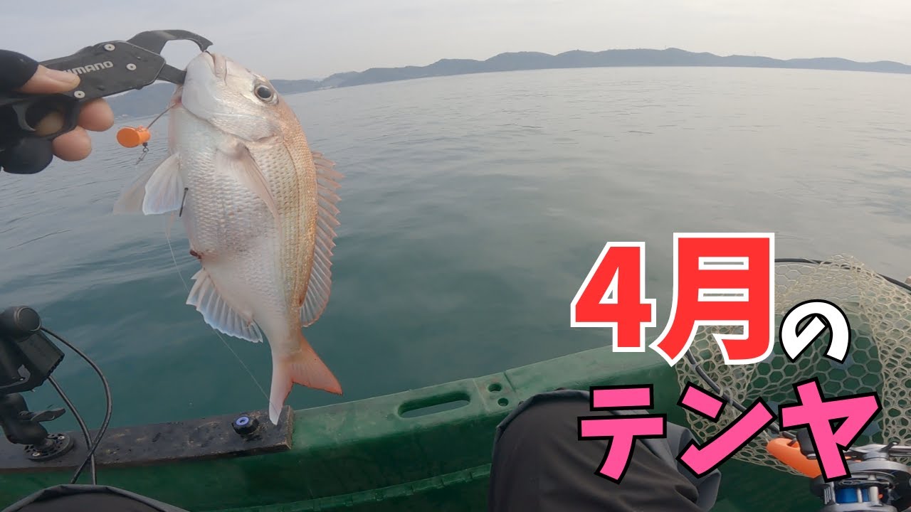 春開幕！４月のテンヤで真鯛を狙う！【２馬力ボート#8】