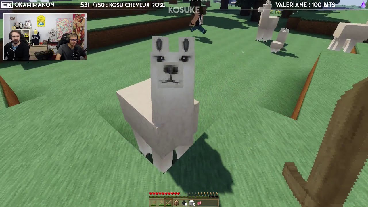 Un peu de survie Chill sur Minecraft !(  25 Septembre 2019 )
