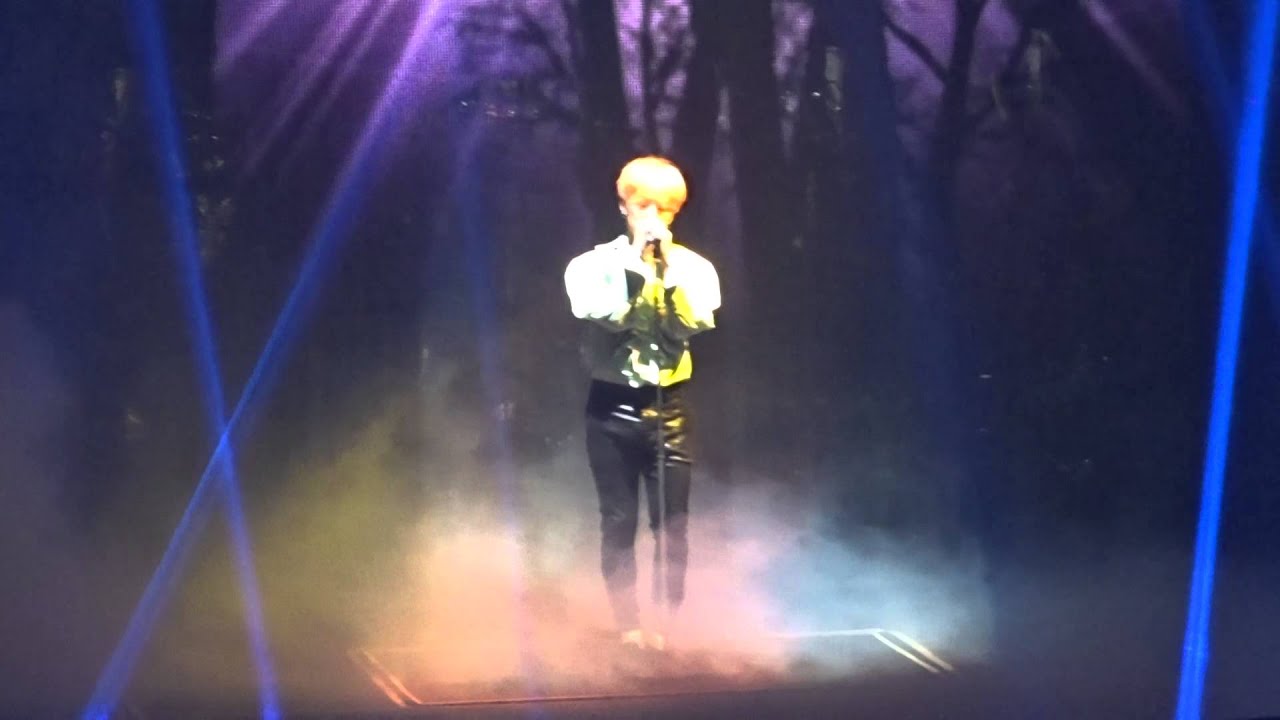 (IF YOU) BIGBANG MADE IN MANILA TOUR (HD FANCAM)