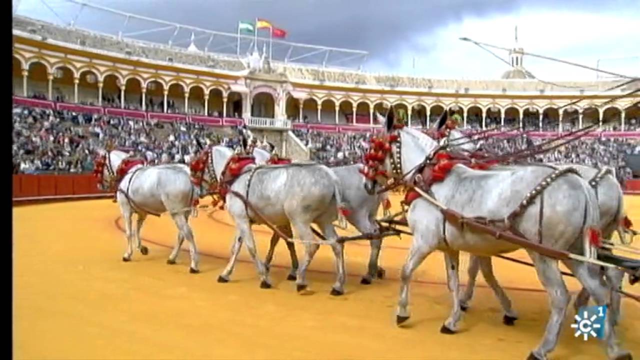 Exhibici&oacute;n de enganches 2016