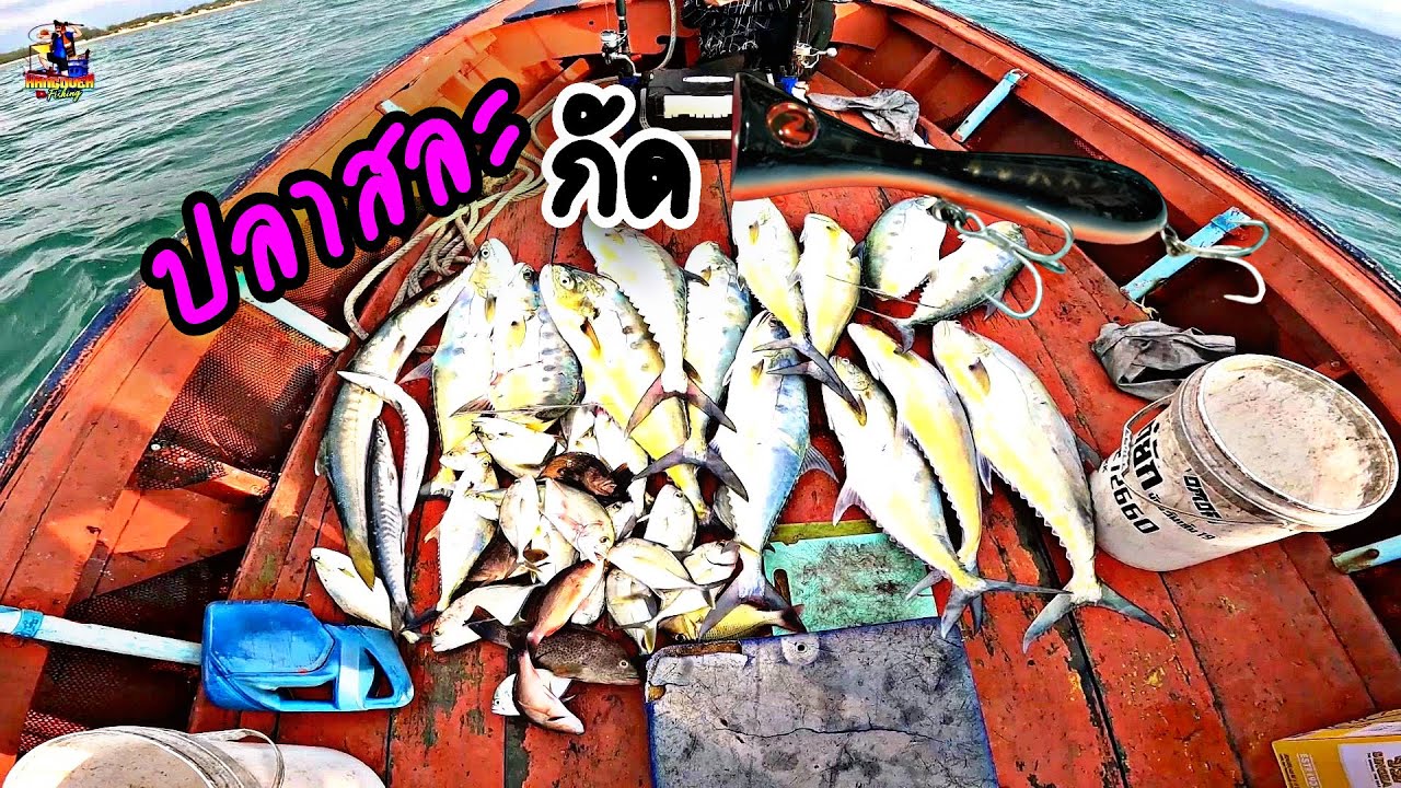 ตีเหยื่อป๊อปเปอร์ถล่มฝูงปลาสละไซส์ 3-5กิโล งัดกันมันส์ #fishing #ตกปลา #ไต๋ยักษ์น้องวุ้นเส้น #popper