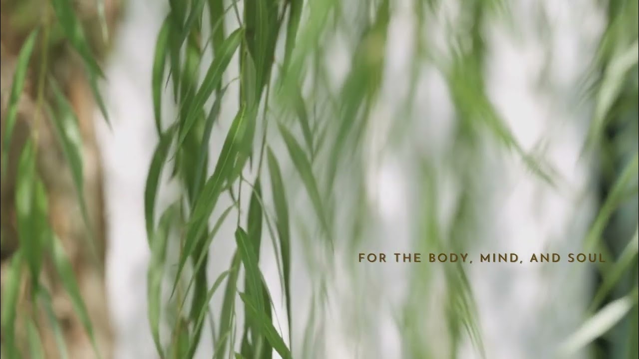 Green  Nature Zen Meditation Instagram Story