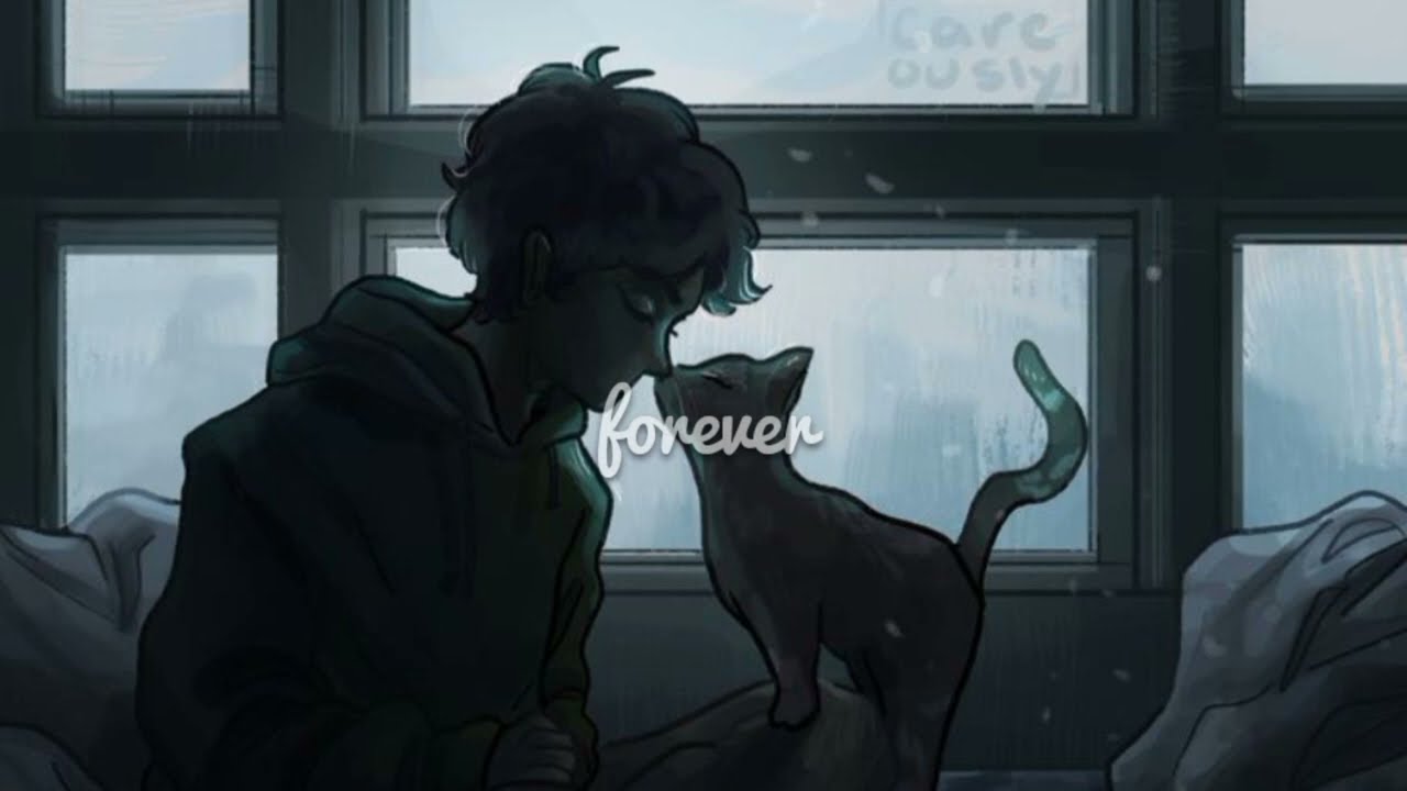 Forever ☘️ | Lofi Mix | Euphonious Music 