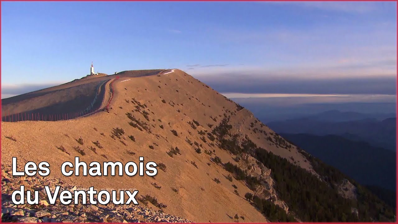 L'ascension du Ventoux