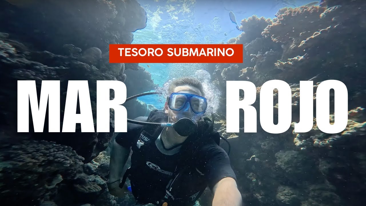 UN DIA DE BUCEO EN EL MAR ROJO | 4K | SHARM EL-SHEIJ