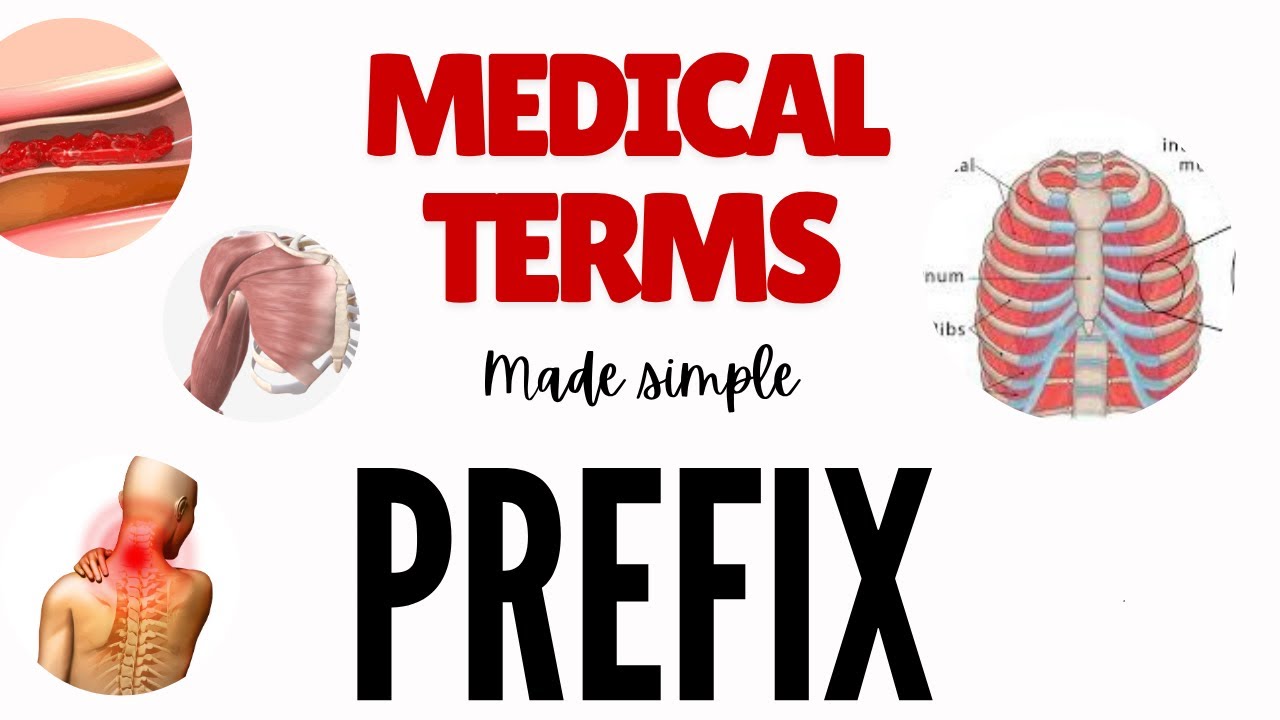 Learn Medical Terminology Fast | Prefix made easy | MBBS 