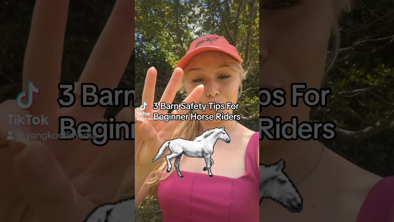 3 Barn SAFETY Tips For Beginner Horse Riders 🐴🛡️⛑️ 