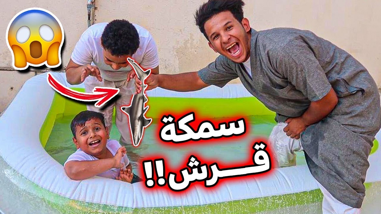 أصيل يمقلب البطريق وهو نايم😱  رماه بالمسبح