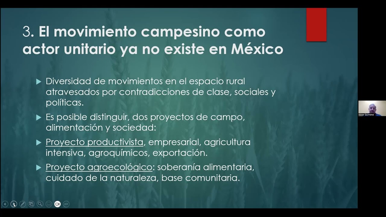 Dónde están los movimientos sociales en el campo mexicano