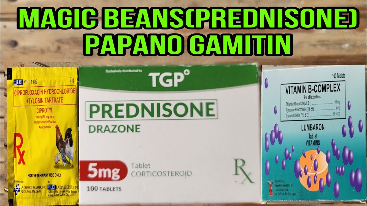 PART 2 - MAGIC BEANS / PREDNISONE / PAPANO NGABA GAMITIN PANGKUNDISYON ANG PREDNISONE #benchsison