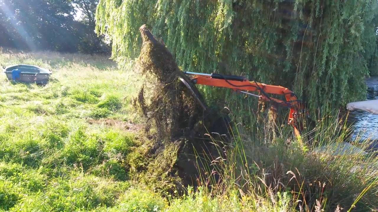 Étang envahi d'herbes l'élodée du Canada.  Faucardage avant l'insertion d'amour blanc.