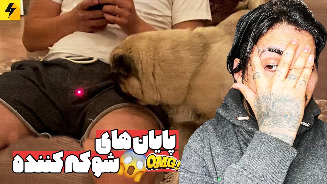 پایان های شوکه کننده 😂 اینجوری که بخوای پیش نمیره