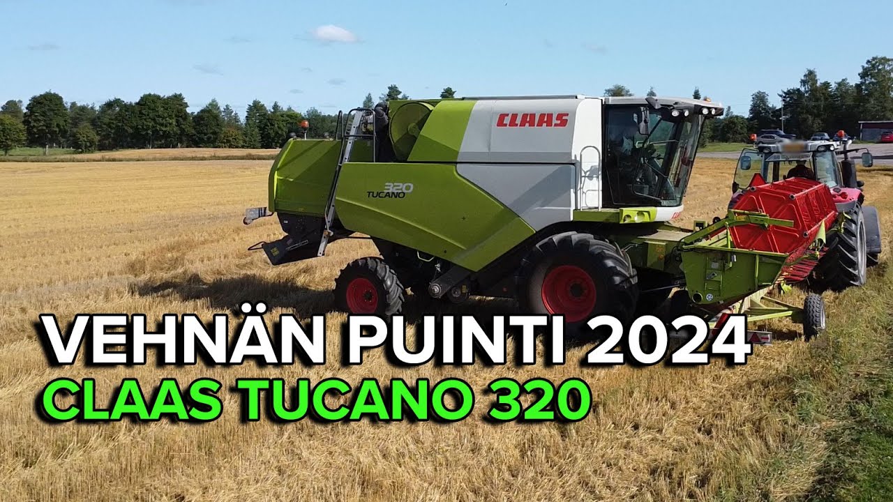 Vehnän puinti 2024 | Claas Tucano 320