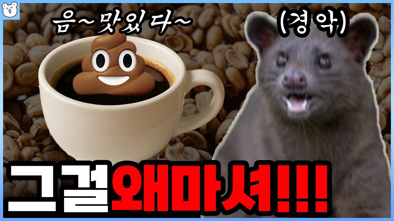 루왁커피 왜 마시게 된 걸까?