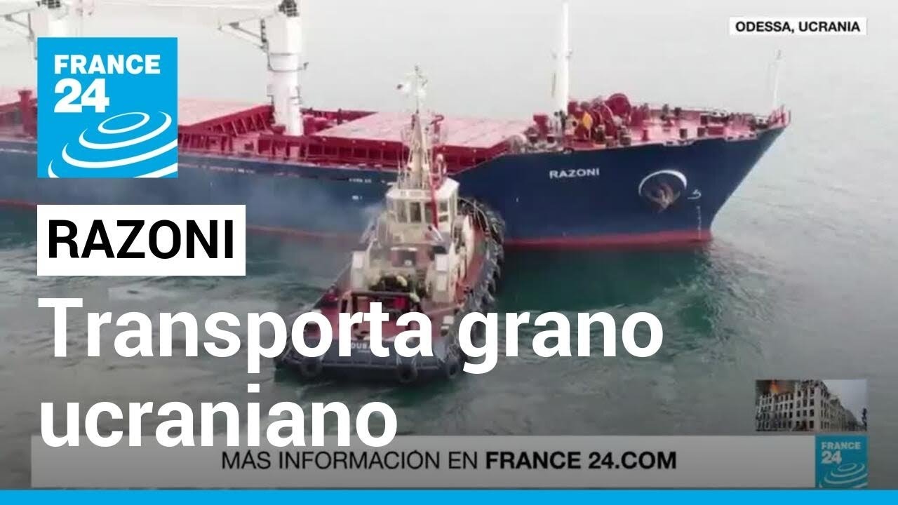 Razoni, el barco que transporta grano ucraniano por primera vez en cinco meses • FRANCE 24