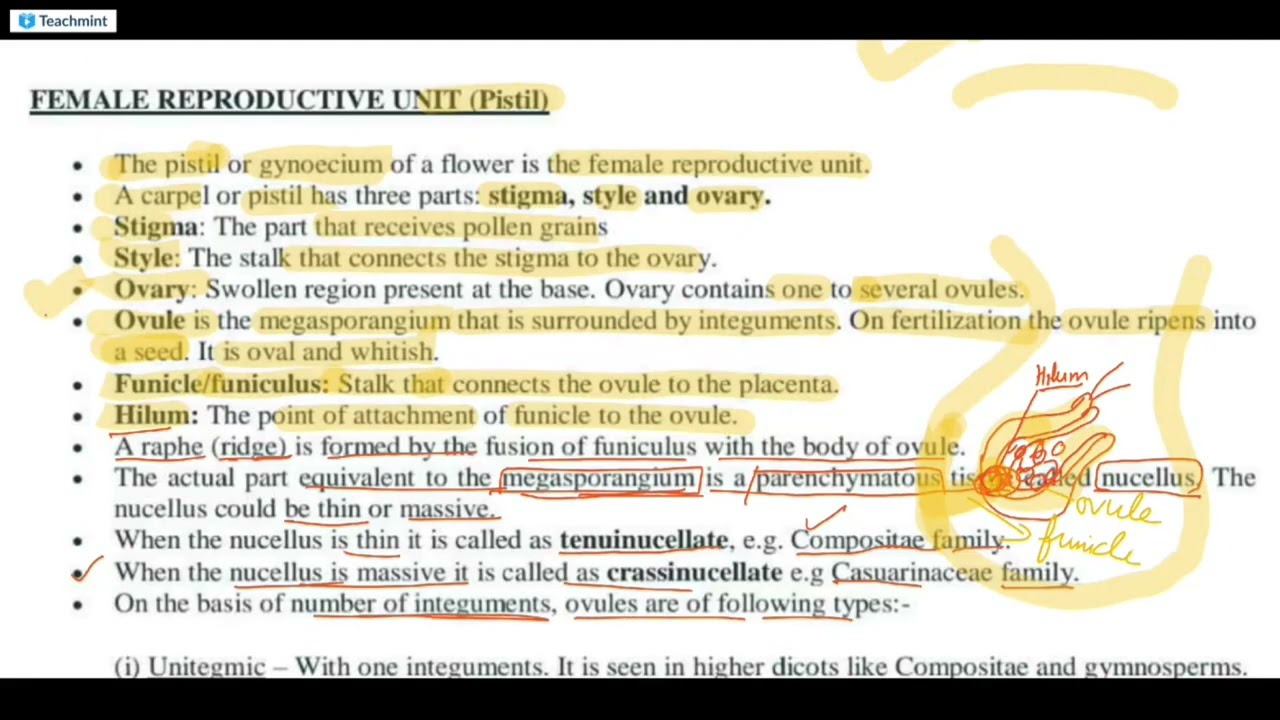 Sexual reproduction part 2#bio 12th 