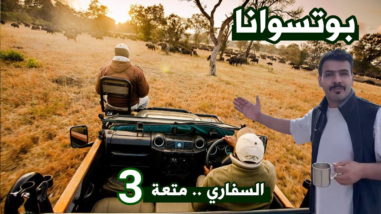 #بوتسوانا متعة وخطورة السفاري بالعربات المكشوفة