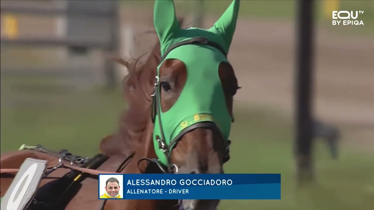INTERVISTA AD ALESSANDRO GOCCIADORO
