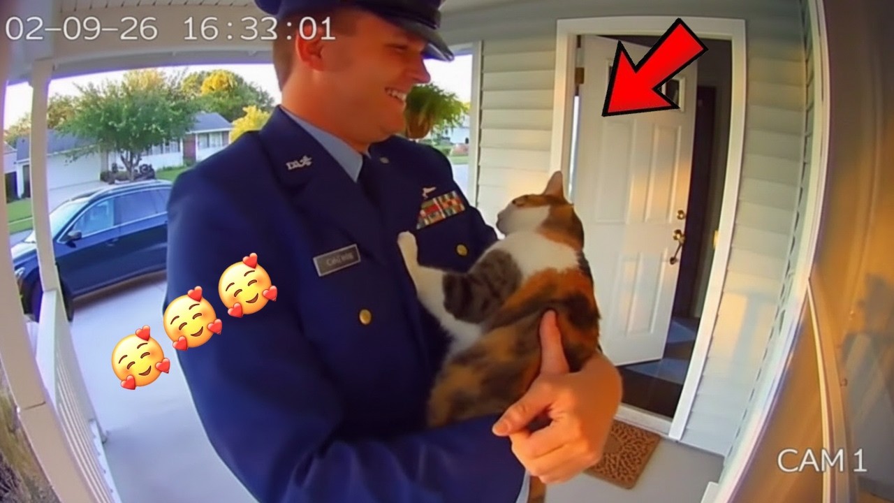 🥰 🐶🐶 This Dog's Reaction To Dad Coming Home Is PURE JOY! #cats