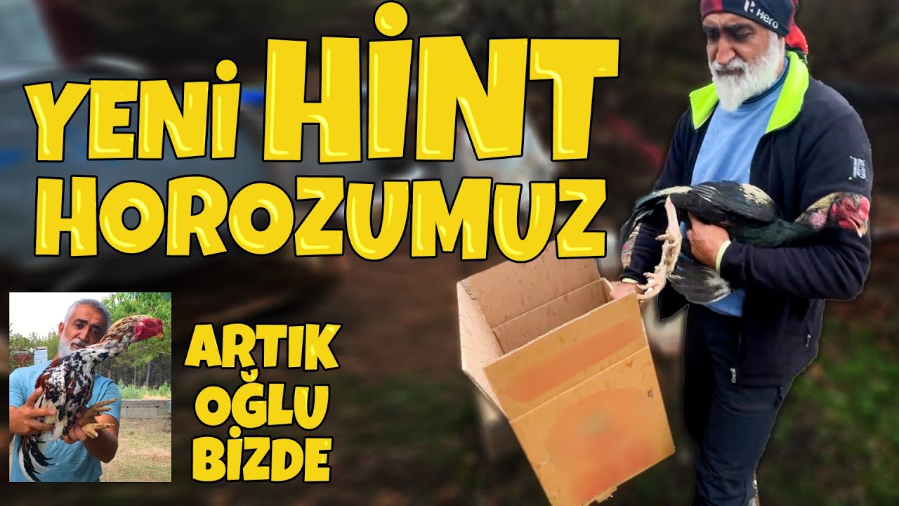 ÇİFTLİĞE HİNT ARIYORUM  #2  / BABANIN OĞLU KEMAL ARTIK BİZDE / FIRTINA KOPTU ORTALIK SAVAŞ ALANI