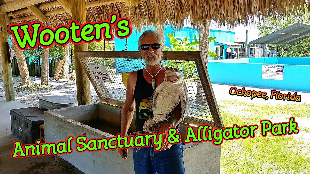 Wooten's Animal Sanctuary & Gator Show, Ochopee, Florida