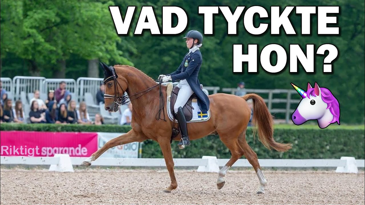 Internationell Grand Prix-ryttare rider v&aring;ra h&auml;star!