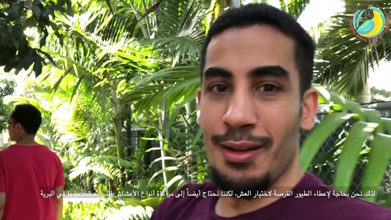 Saudi Federation Of Aviculture (Tony Silva) Part 2