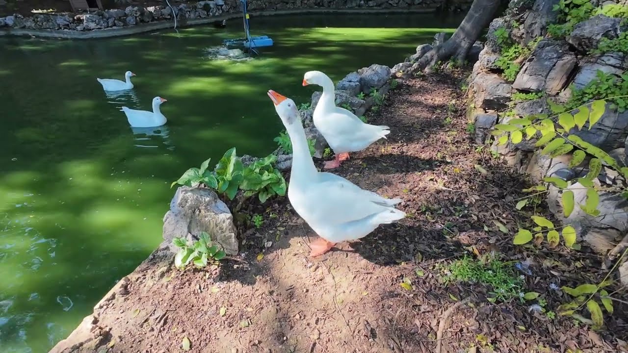 Passeggiando per Villa Niscemi......