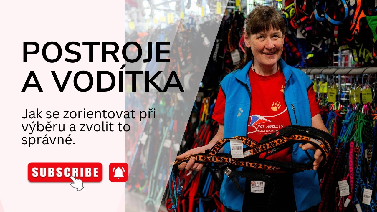 Jak vybrat psovi obojek, postroj a vodítko - Hela Levíčková