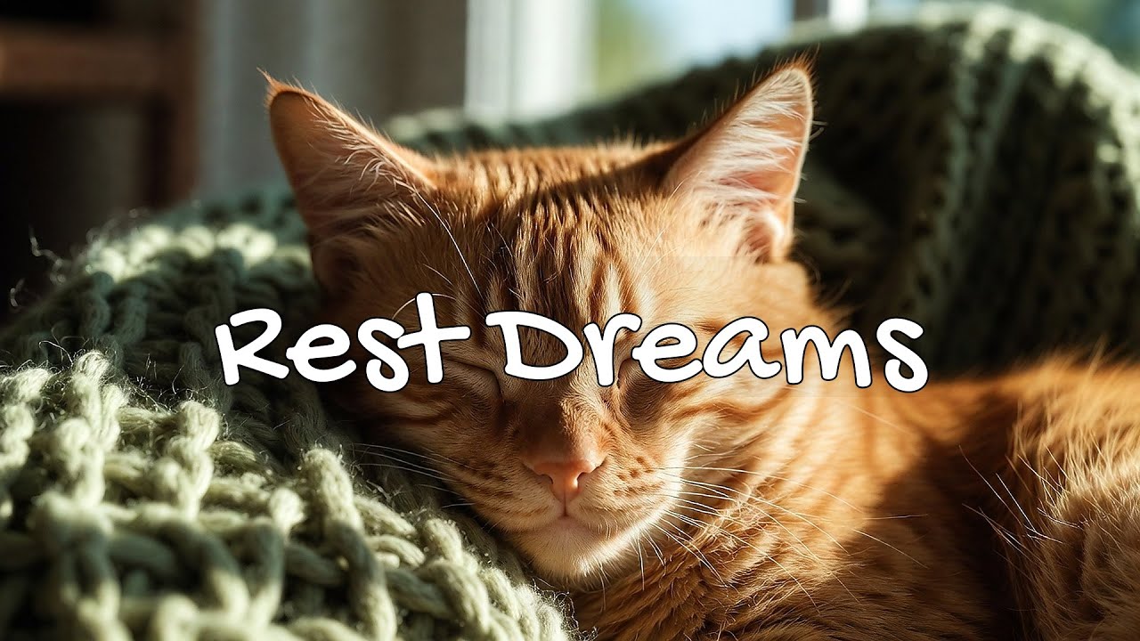 LIVE Relaxing Sleeping Cats for Bedtime 🌙 | Season 9 | No Loop Playlist ✨