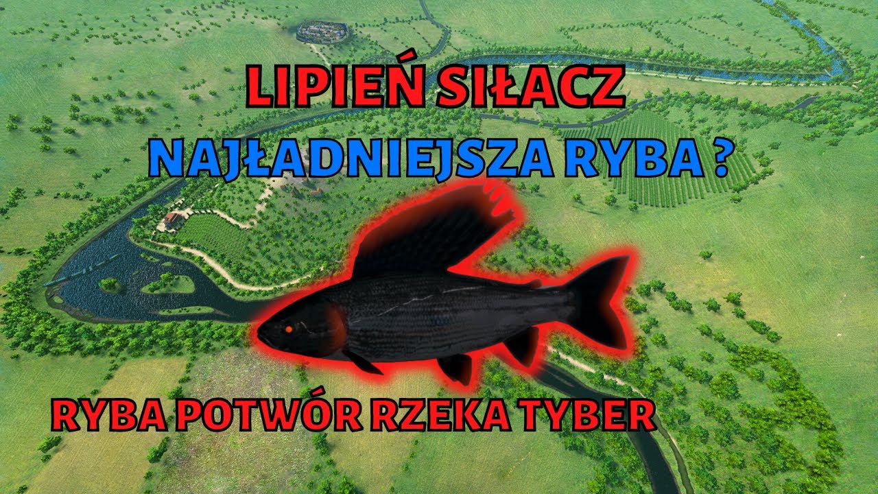 jak złowić lipień siłacz - ryba potw&oacute;r rzeka tyber