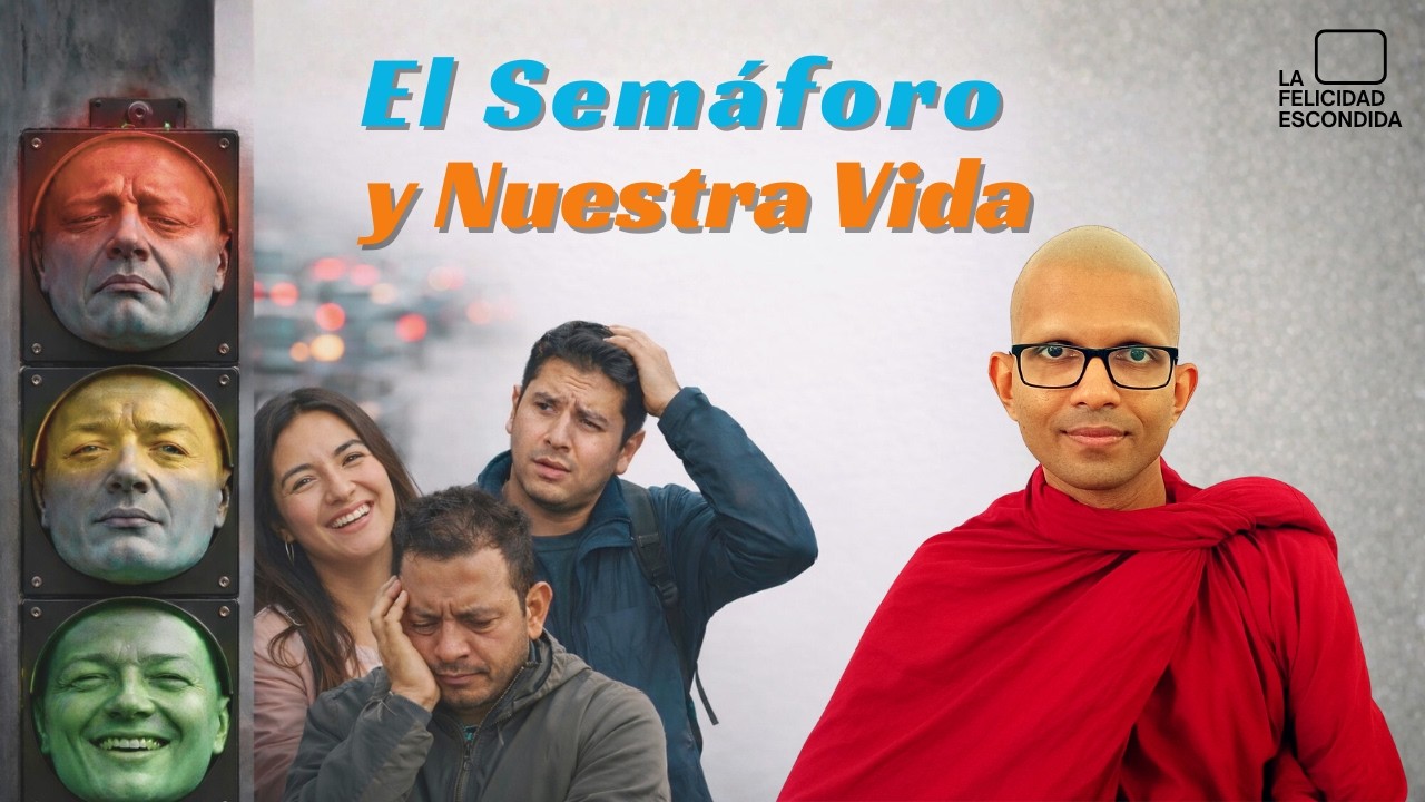 El Semáforo de la Vida: La Verdad Sobre la Felicidad Condicional