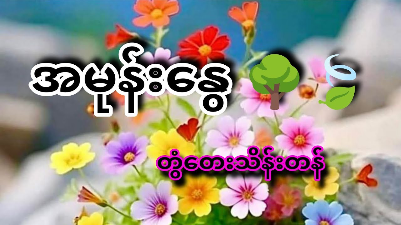 ❰❰ အမုန်းနွေ ❱❱ တေးသံရှင်🎤တွံတေးသိန်းတန်   🎸Bass 🥁Drumcover