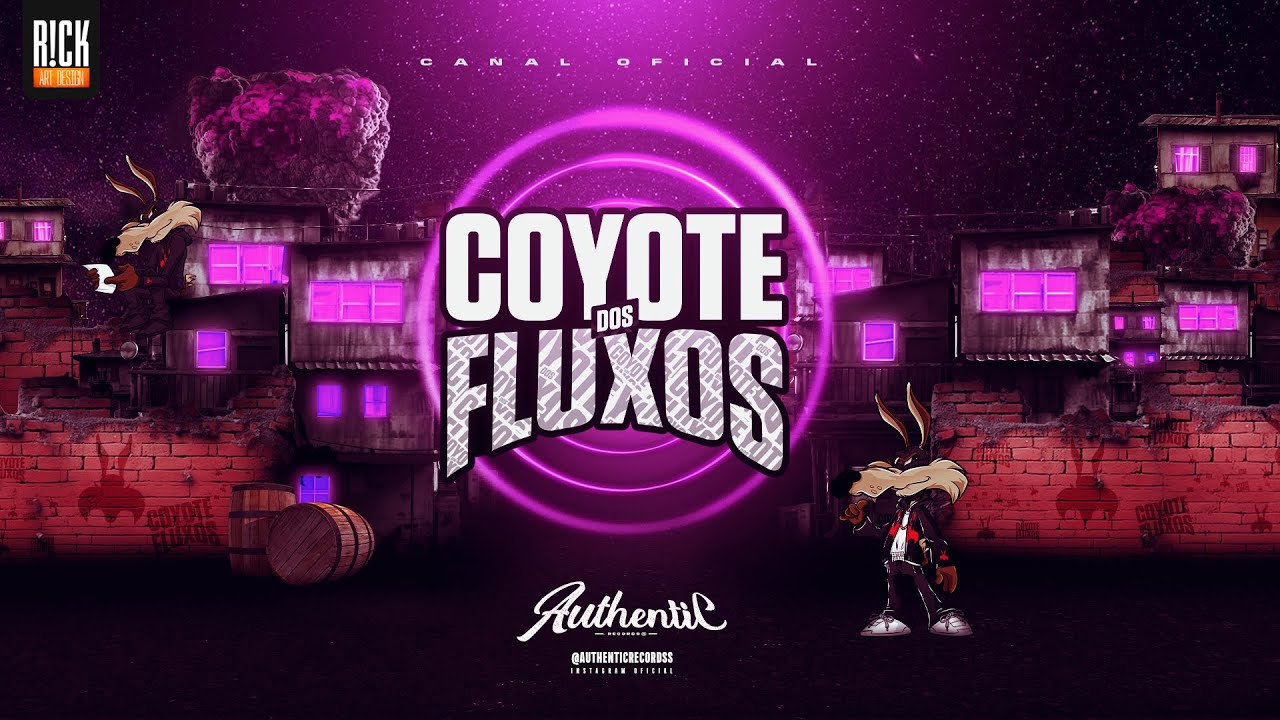 SELEÇÃO DOS DRAKE QUE DA GRAU  - 14 MINUTINHOS DAS BRABAS - DJ GUH BEAT 013 - (COYOTE DOS FLUXOS)