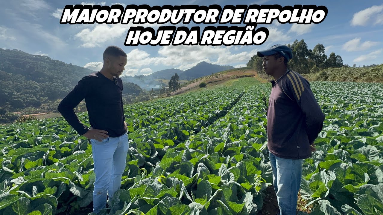 DON'T PLANT CABBAGE 🥬 BEFORE WATCHING THIS VIDEO