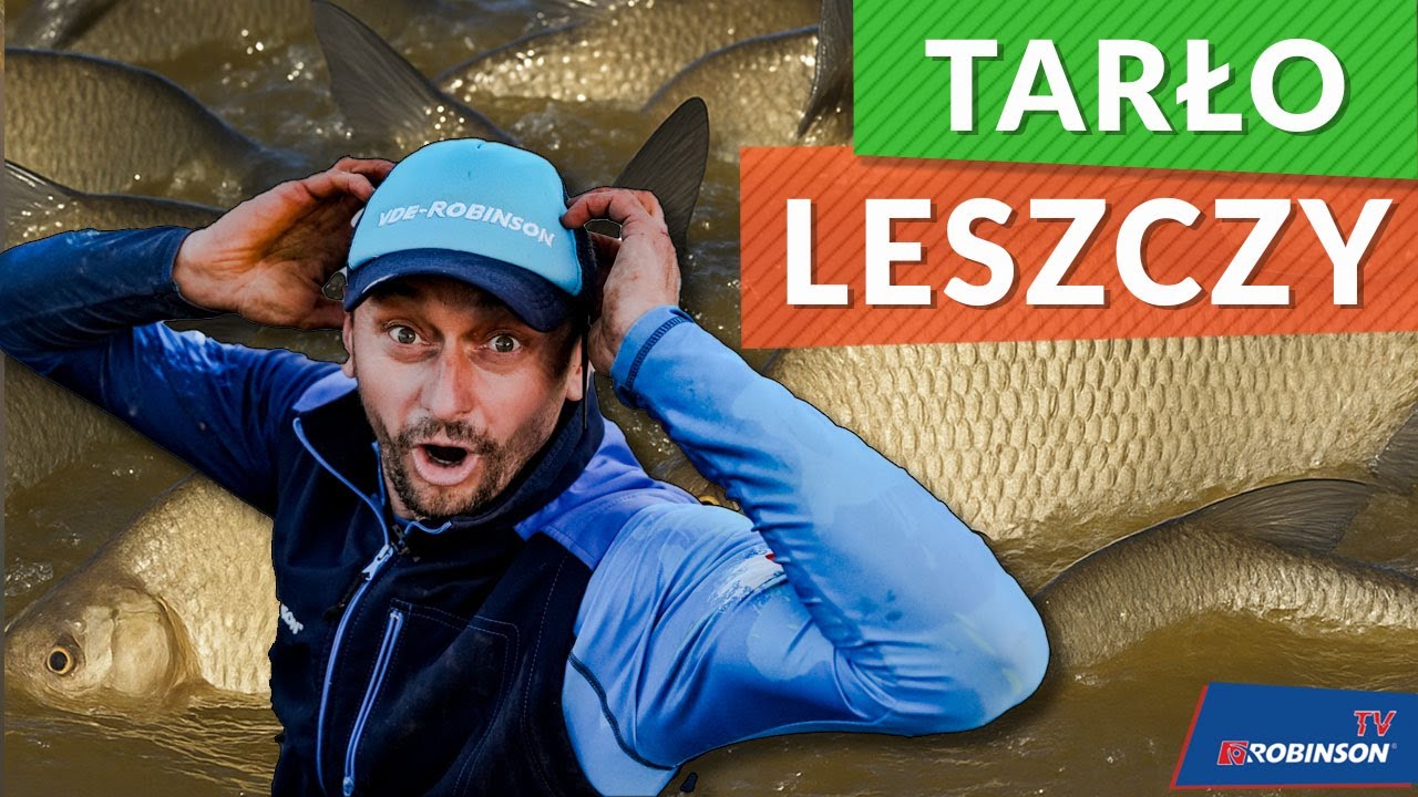 Tarło leszczy GIGANT&Oacute;W! Czy je złowimy? Tyle ryb jeszcze nie widzieliśmy!
