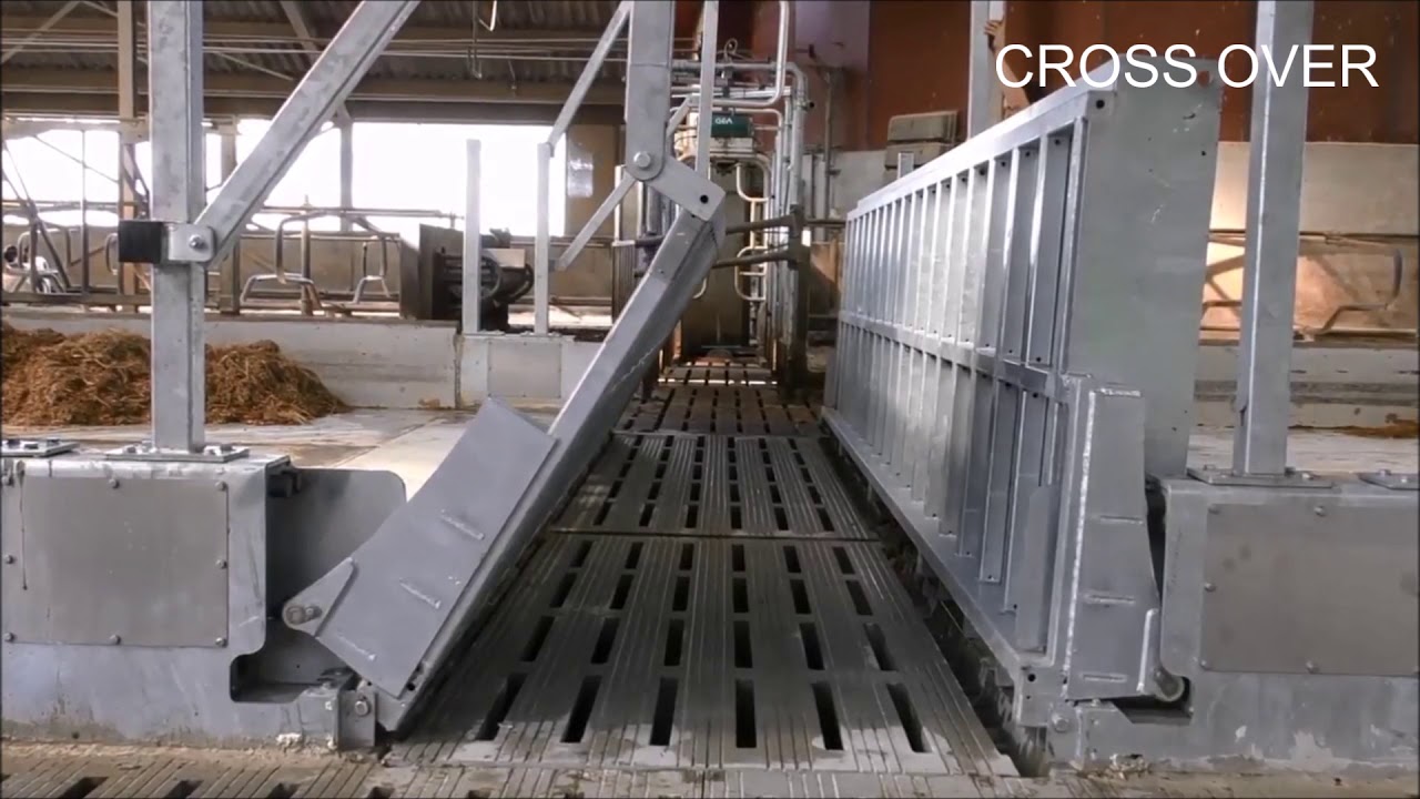Cross Over voergangbordes - Drive over feeding passage - Futtertischbrücke - Van Dinther BV