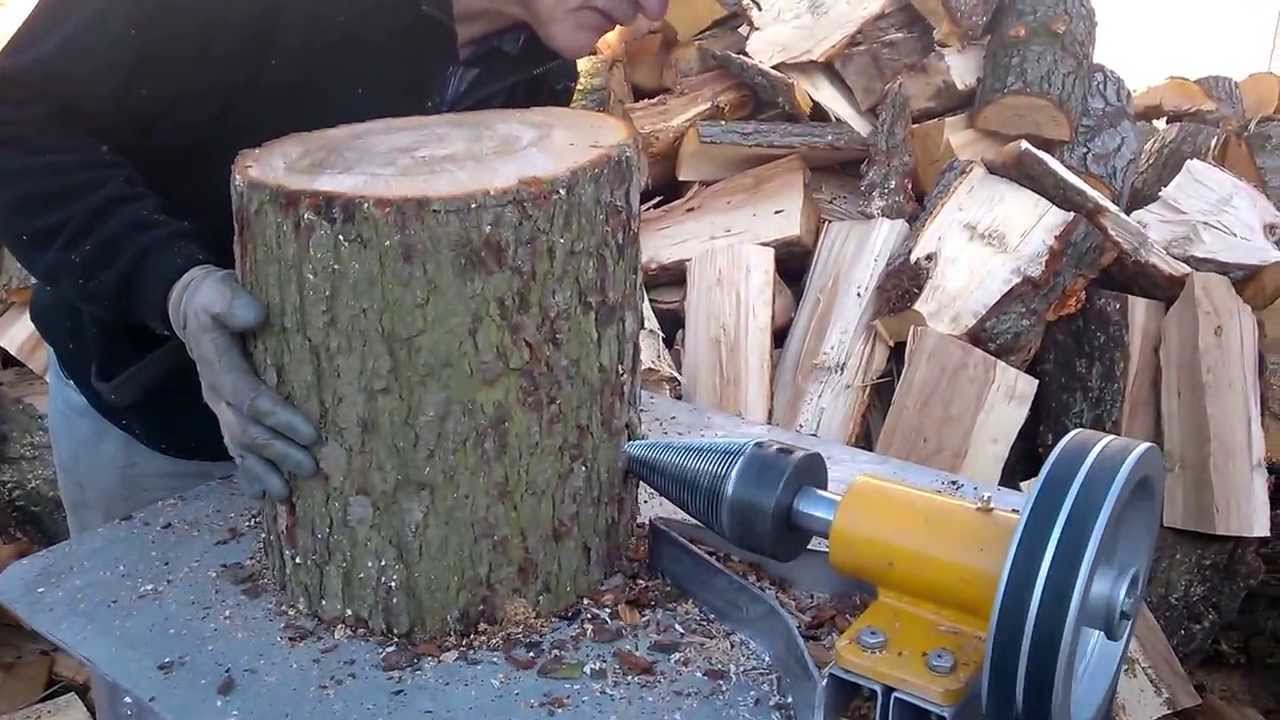 Łuparka świdrowa