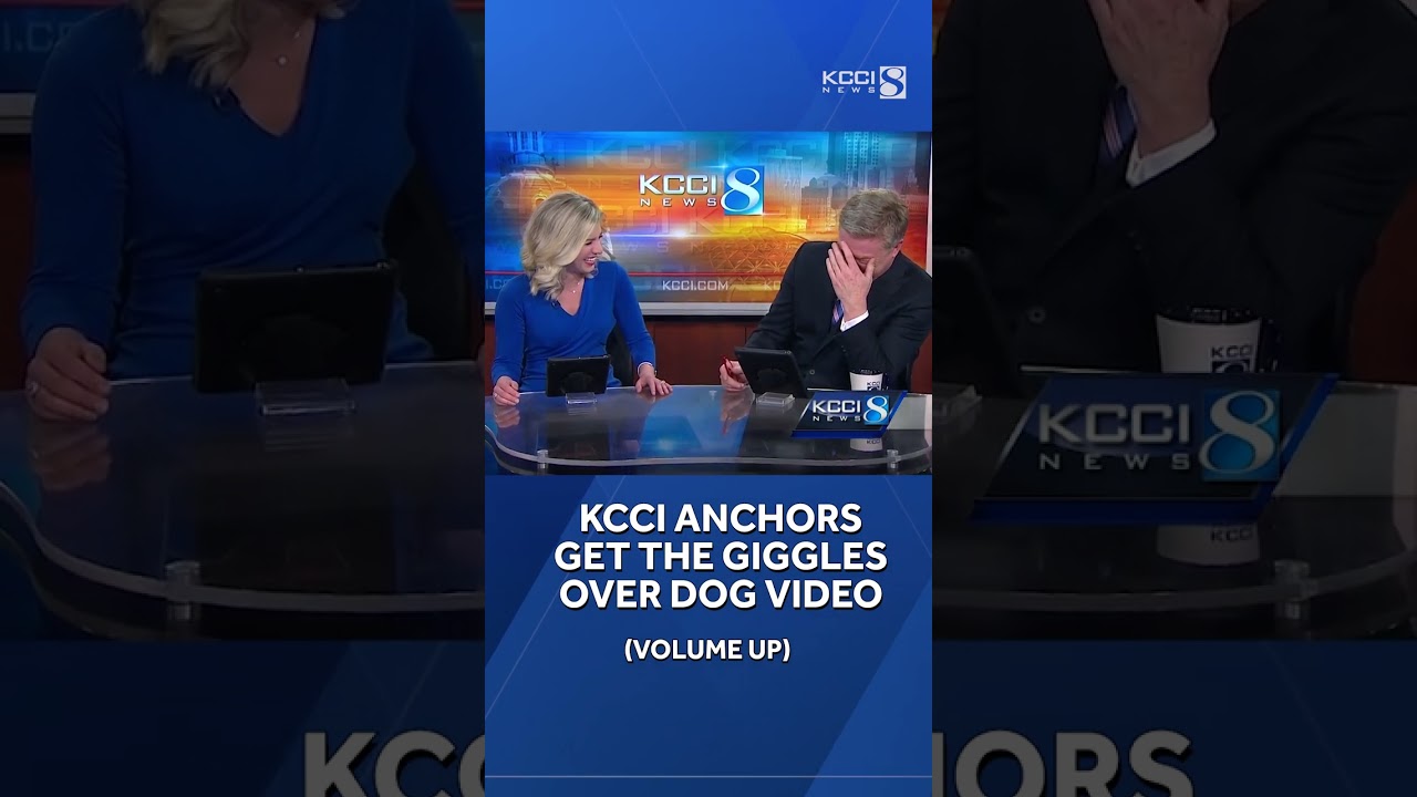 From 2017: KCCI anchors get the giggles over dog honking car horn