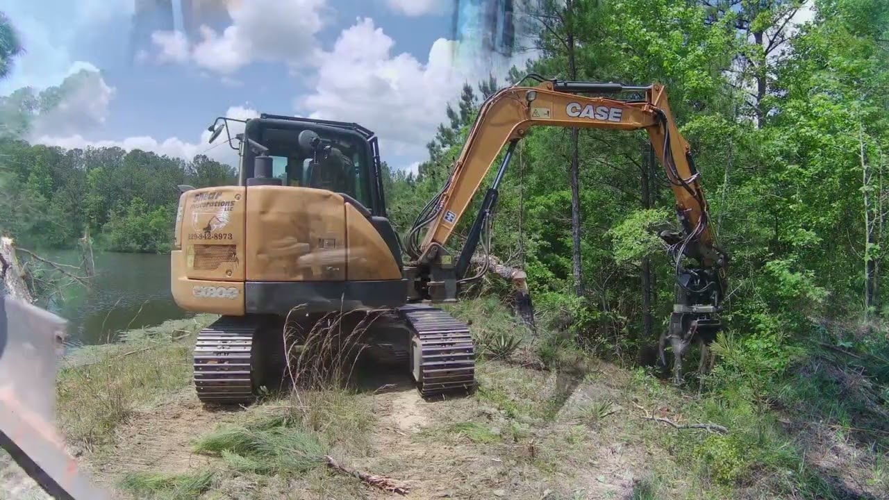 Mowing and Tree Shear used to remove trees on a pond dam.