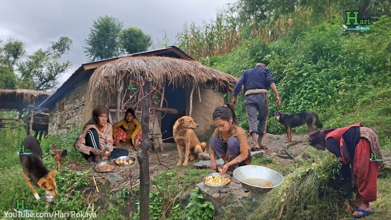 Traditional Family Life in Remote Nepal Hills | Organic Cooking