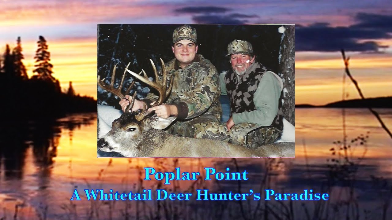 Saskatchewan Whitetail Deer Hunting : Poplar Point ~ A Whitetail  Deer Hunter's Paradise