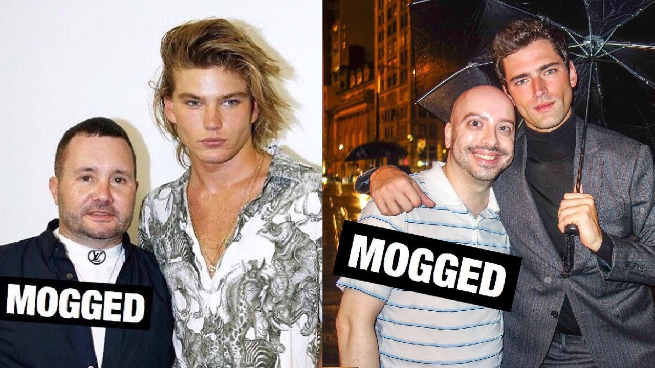We Live in a MOG or GET MOGGED World ⚠️