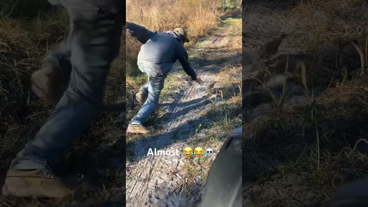 Ancient quail hunting techniques!!