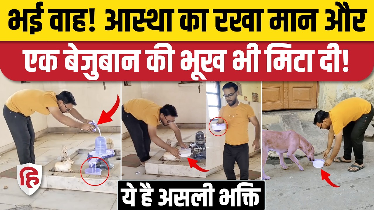 Viral Video: पहले मंदिर में शिवलिंग पर दूध चढ़ाया, फिर डॉगी को पिलाया! लड़के की भक्ति हो गई वायरल